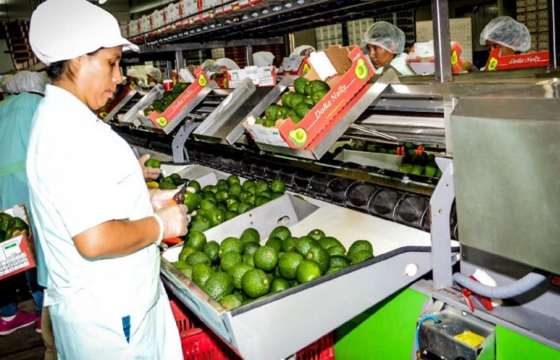 Perú: Las exportaciones agrícolas suben un 14% hasta los 745 millones de dólares en enero de 2022