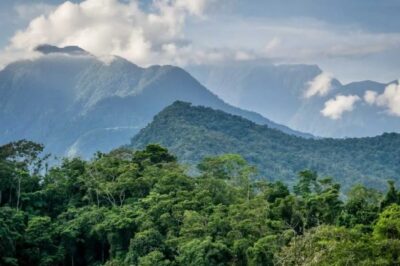 El programa de créditos de carbono en la selva peruana suscita dudas: Qué ha fallado?