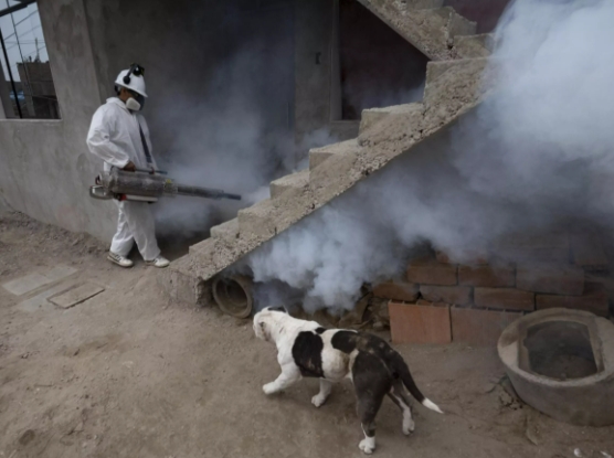 Dozens of fumigators have been deployed in 20 of Peru's 25 departments
